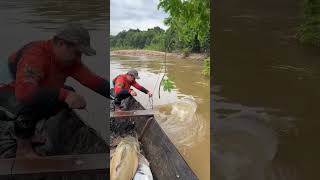 La guinda del pastel 😌 #pesca #fishing #pescaria #colombia