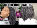 HOW TO MAKE BLACK RICE WATER FOR EVEN FASTER HAIR GROWTH (MY EXACT RECIPE)