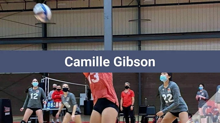 Camille Gibson Volleyball Highlights - NY 2023 - L...