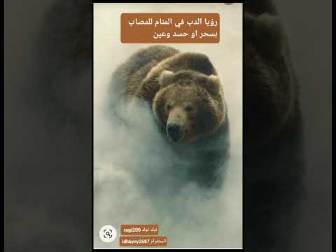 رؤيا الدب في المنام للمريض بسحر او حسد اوعين