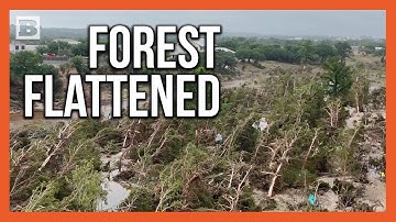 Texas Flood Leaves Forest Flattened