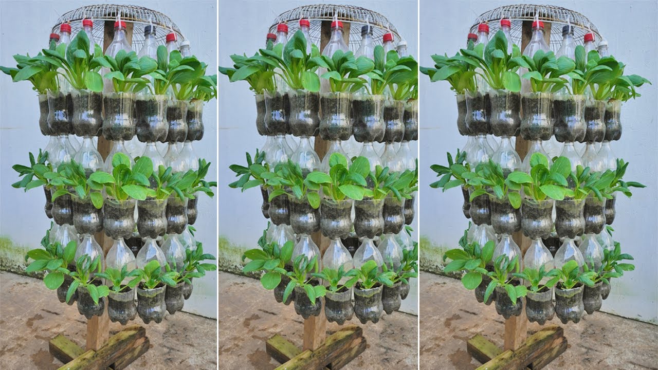 Не выбрасывайте пластиковые бутылки! Это волшебные инструменты для выращивания овощей, о которых ...