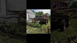 Cleaning up cut down trees and other junk. - Highlight Reel