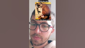 tu dosis diaria de (5)|Puzzle game #challenge #puzzlegame #game #trending #shorts