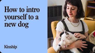 How to Introduce Yourself to a New Dog