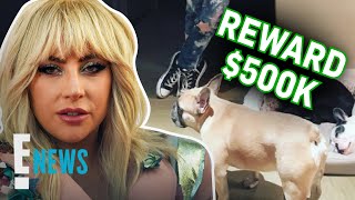 Lady Gaga Offers $500K Reward for Stolen Dogs | E! News