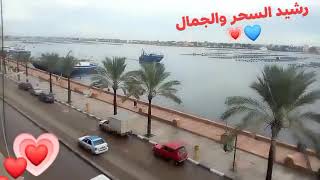 رشيد السحر والجمال 