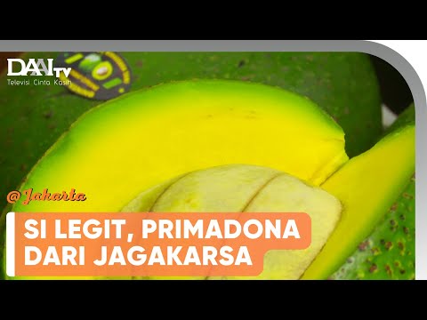 Jus Alpukat Terenak Di Jakarta