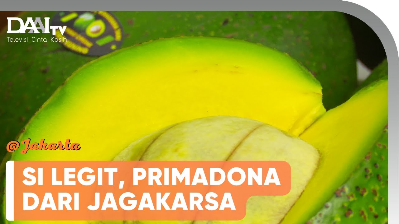 BIKIN NAGIH, ALPUKAT CIPEDAK BUAH UNGGULAN JAKARTA | @Jakarta