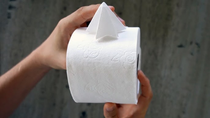 💎 How to Make a Diamond on Toilet Paper 