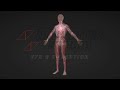 Leg Vein Working Process ✔✔ | CGI Animation | Animaster Studio |  #cgi #animation