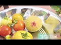 vegetable harvesting #shortsfeed #funny #shortvideoviral #shortvideoviral #gardening#song #ytshorts