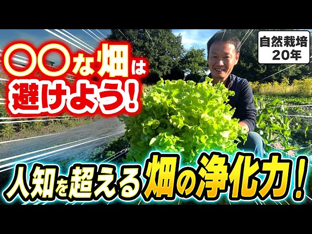 Natural Farming 414] A must-see for beginners! Tips and