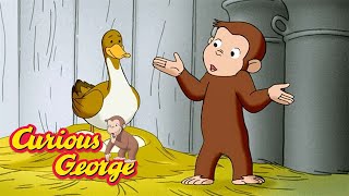 georges farm adventure curious george kids cartoon kids movies