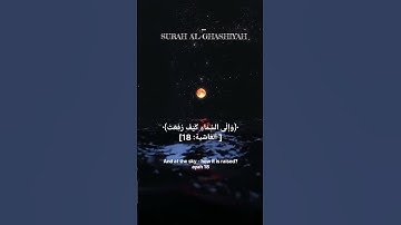 ﴿أَفَلَا يَنظُرُونَ إِلَى الْإِبِلِ كَيْفَ خُلِقَتْ﴾ سورة الغاشية surah Al ghashiyah