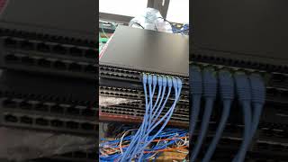 48×5G Switch Test | Zero Packet Loss | HODONET Custom for Dutch Client#CustomNetwork #OEMODM #B2B