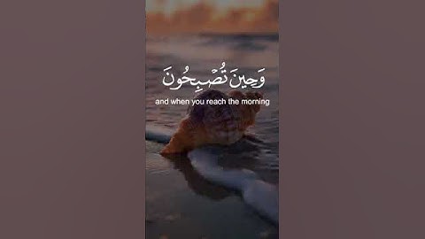 #تلاوة_خاشعة #اكسبلور #القزابري #دويتو #المصحف #قرآن #راحة_نفسية #السعودية #duet