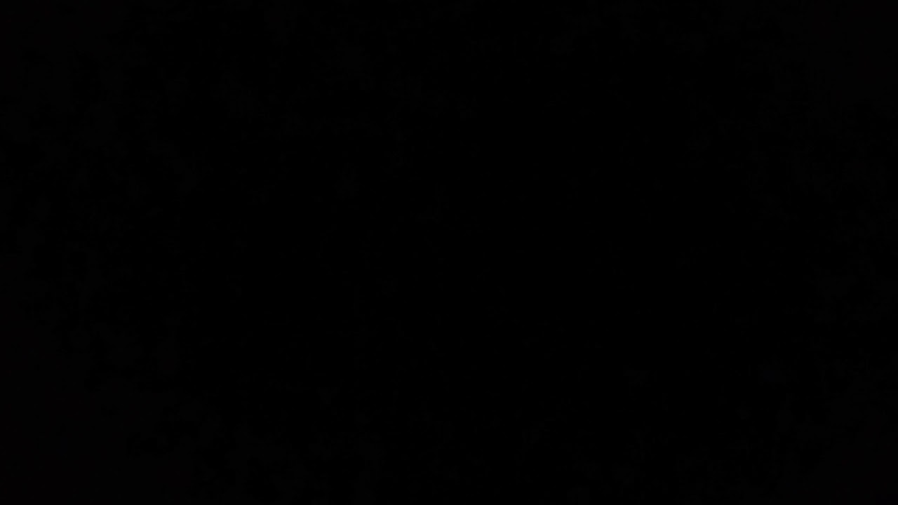 Just a black screen YouTube