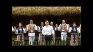 Puiu Codreanu - Orice palmă de la viata