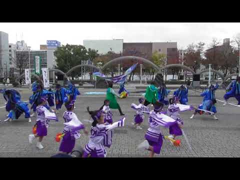 「祭舞WaiWai『一寸Boy』」四日市よさこい やったろ舞2017