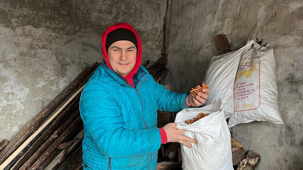 Начал их давать… Не думал, что всем понравится