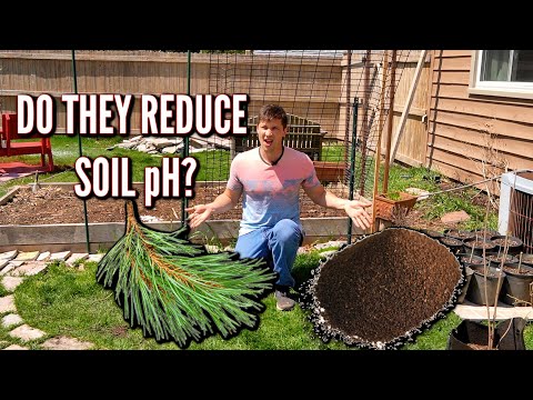 Do Pine Needles or Coffee Grounds LOWER Soil pH? hqdefault