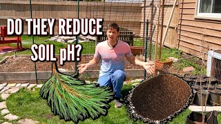 You may have been told that pine needles and coffee grounds are free
resources to use in the garden for lowering ph of your soil but todays
episode we...