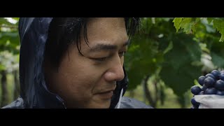 映画『シグナチャー～日本を世界の銘醸地に～』予告編