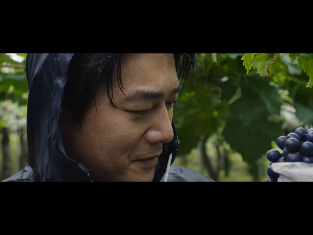 映画『シグナチャー~日本を世界の銘醸地に~』予告編