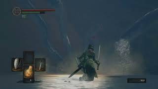 DARK SOULS REMASTERED without wiki a multi-headed lake monster no hit