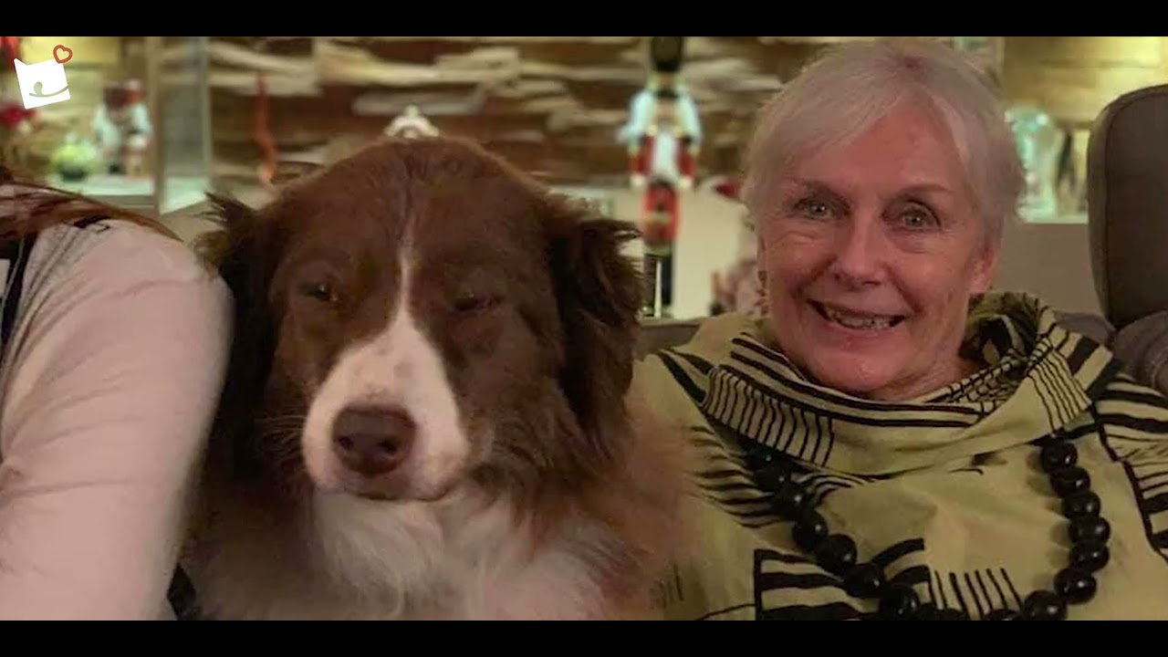 Founder Mark Scott's Story of Bella & Duke