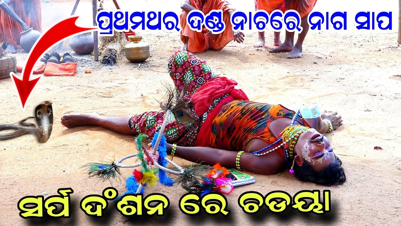 ଦଣ୍ଡ ନାଚରେ ସତ ନାଗ ସାପ | Kandarasingh | Danda Nacha | Viral Song | Danda Jatra Nayagarh | Viral Video