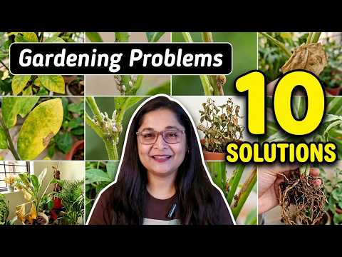🔴Gardening Ke 10 Problems and Unka Soution #gardening