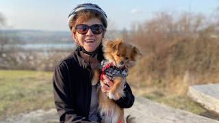 Landshut Bike Ride Slideshow (26.03.2021)