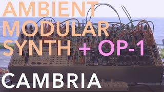 Cambria Sessions Pt1 • Cambria [Ambient Modular Synth + Teenage Engineering OP-1]