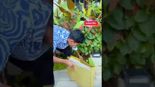 kinder Joy challenge 😋😋🎁🎁#chattambees