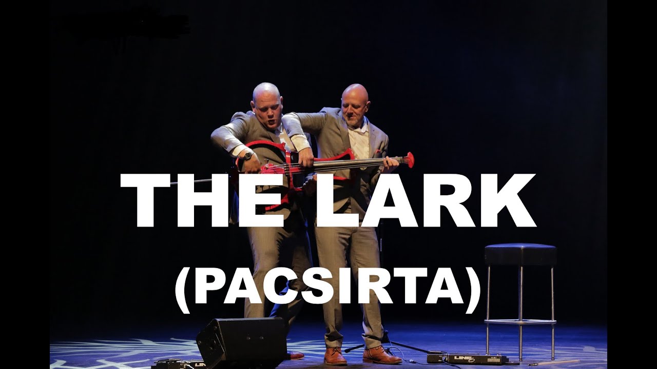 Stringfever - Pacsirta (The Lark)