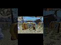 cap cut #edit  freefire#phonkmusic