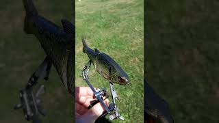 6.3 shad glide in my natural colorshift pattern. #glidebaits  #matchthehatch #swimbaits #airbrush
