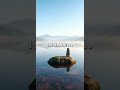 15s Zen Reset: Take a Deep Breath 🧠 #40Hz #mindfulness #shorts #40hz #music #binauralbeats