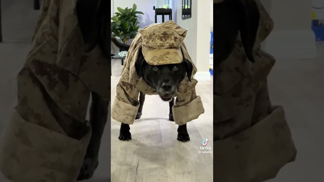 #asvab #army #navy #airforce #marines