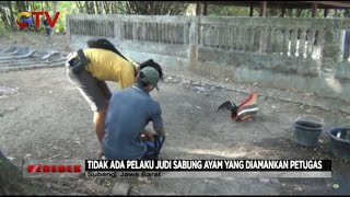Polisi Keluarkan Tembakan Saat Gerebek Judi Sabung Ayam Di Subang Jawa Barat  Gerebek 0510