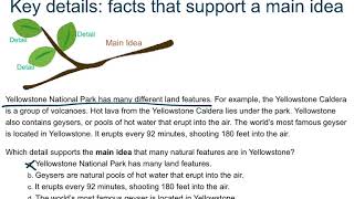Detailed Choose key details to support a main idea. Details