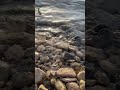 🌊 17 seconds to align with how you want to feel, guided by the gentle sound of waves #energy
