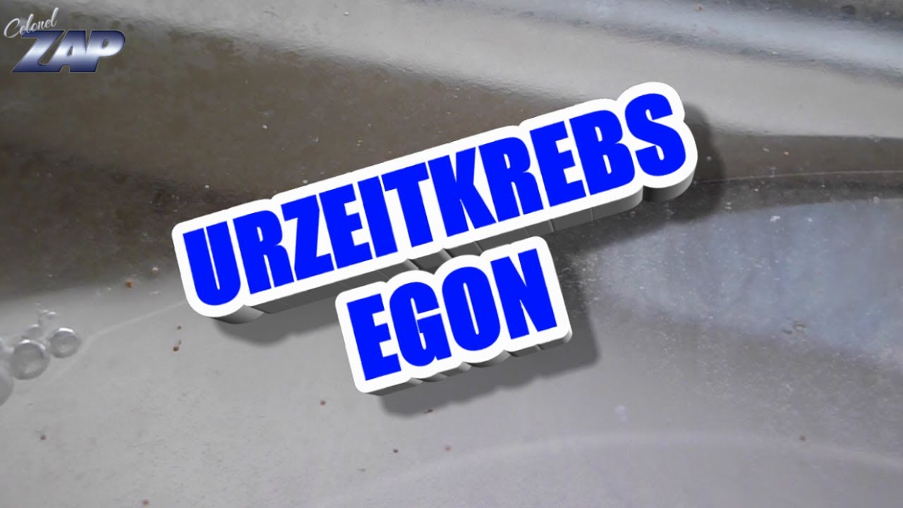 Sea Monkey "Egon" - Urzeitkrebs Gimmick aus dem Yps-Heft - Egon Faster Than MT6588 - ColonelZap