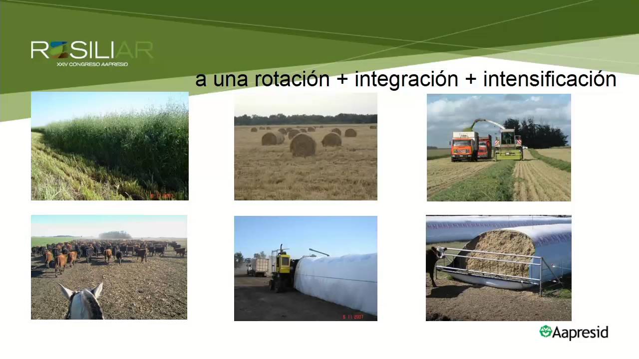 La próxima Revolución Verde II: productividad + ambiente.
