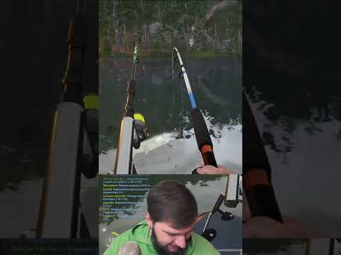 😎МОЩНЕЙШИЙ УЛОВ В РУССКОЙ РЫБАЛКЕ 4🔥 #русскаярыбалка4 #рр4 #russianfishing4