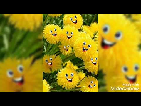 ИЮЛЬСКИЙ ПРИВЕТ! ДОБРО ПОЖАЛОВАТЬ В ИЮЛЬ! 🍀🌻🌼🐛🐚🐝🐞🍓🍒🍦#песенкаолете
