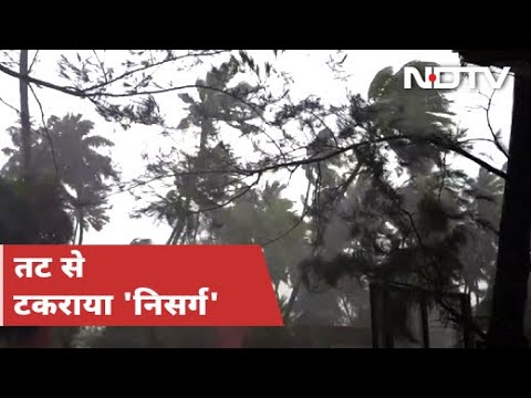 Mumbai: टकराया Cyclone Nisarga, कुछ जगहों पर पेड़ उखड़कर सड़क पर गिरे