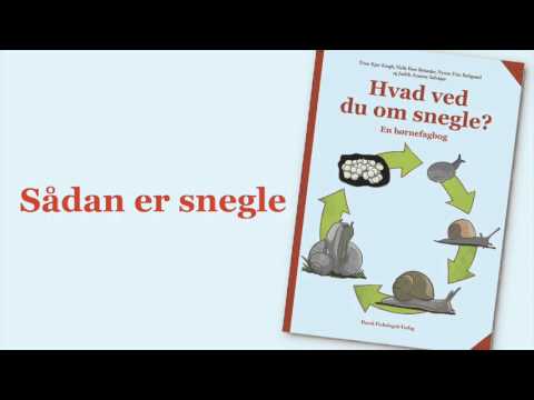 Video: Sådan Tilberedes Snegle